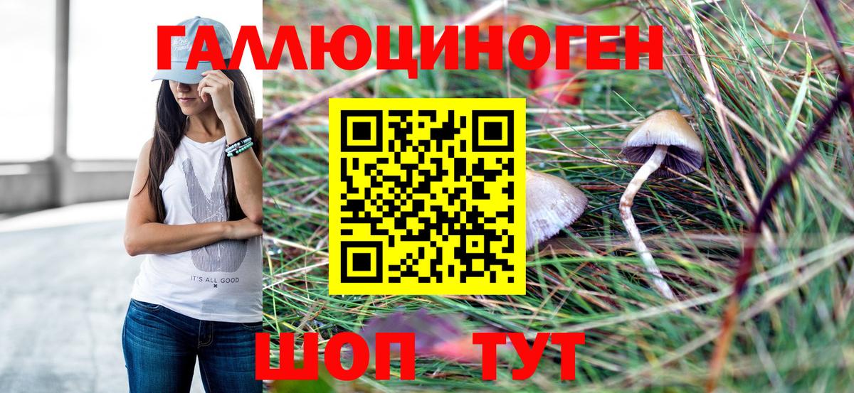 Псилоцибиновые грибы Psilocybe Саранск
