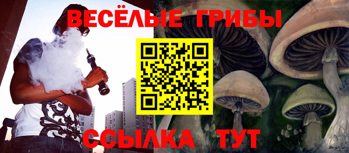 Саранск  Псилоцибиновые грибы Cubensis  Вход с VPN 